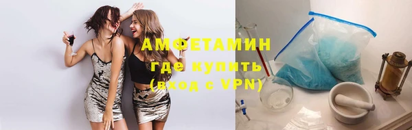 молекула духа Козельск