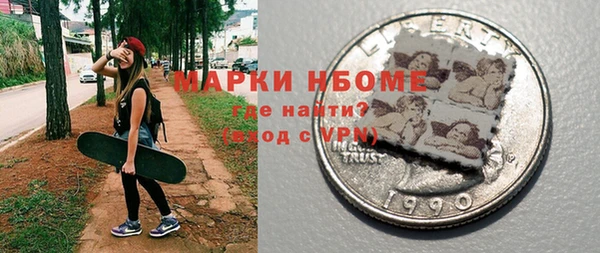 молекула духа Козельск