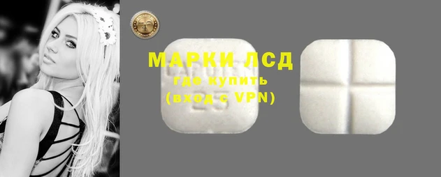 молекула духа Козельск