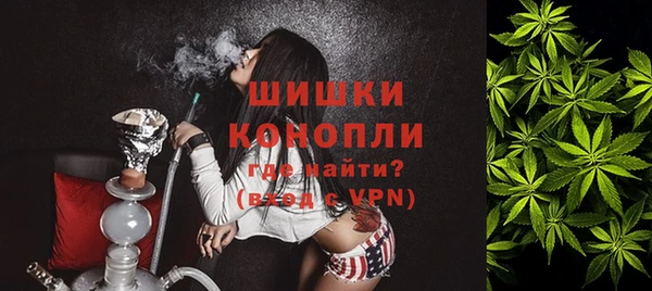 молекула духа Козельск