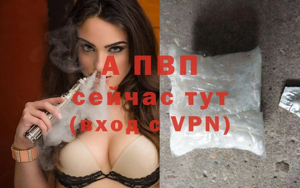 молекула духа Козельск