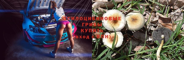 молекула духа Козельск