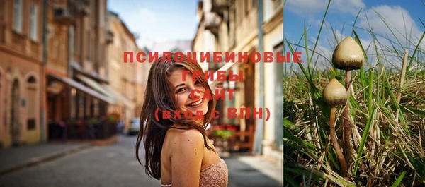 метамфетамин Козловка