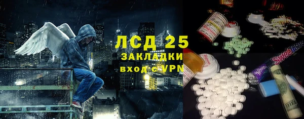 молекула духа Козельск