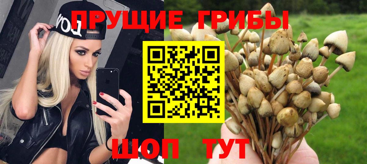 Галлюциногенные грибы мухоморы Улан-Удэ