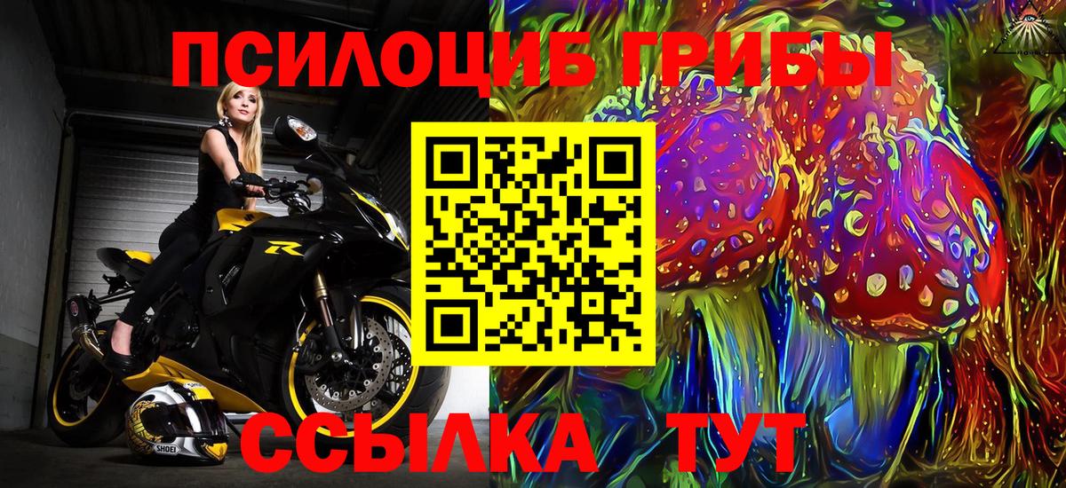 Улан-Удэ  как найти закладки  Вход с VPN  Псилоцибиновые грибы мицелий 